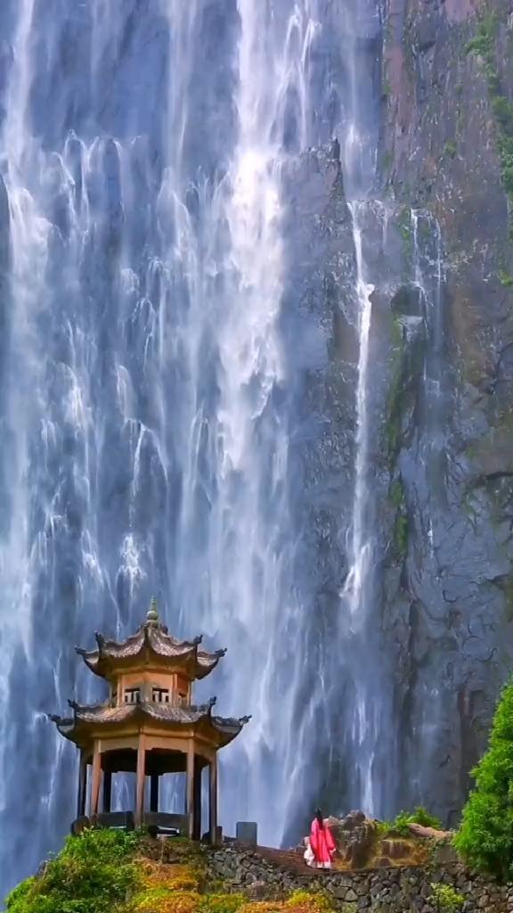春雨直播app
